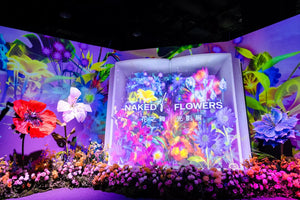 氣味設計的創新之路-NAKED 花之舞光影展
