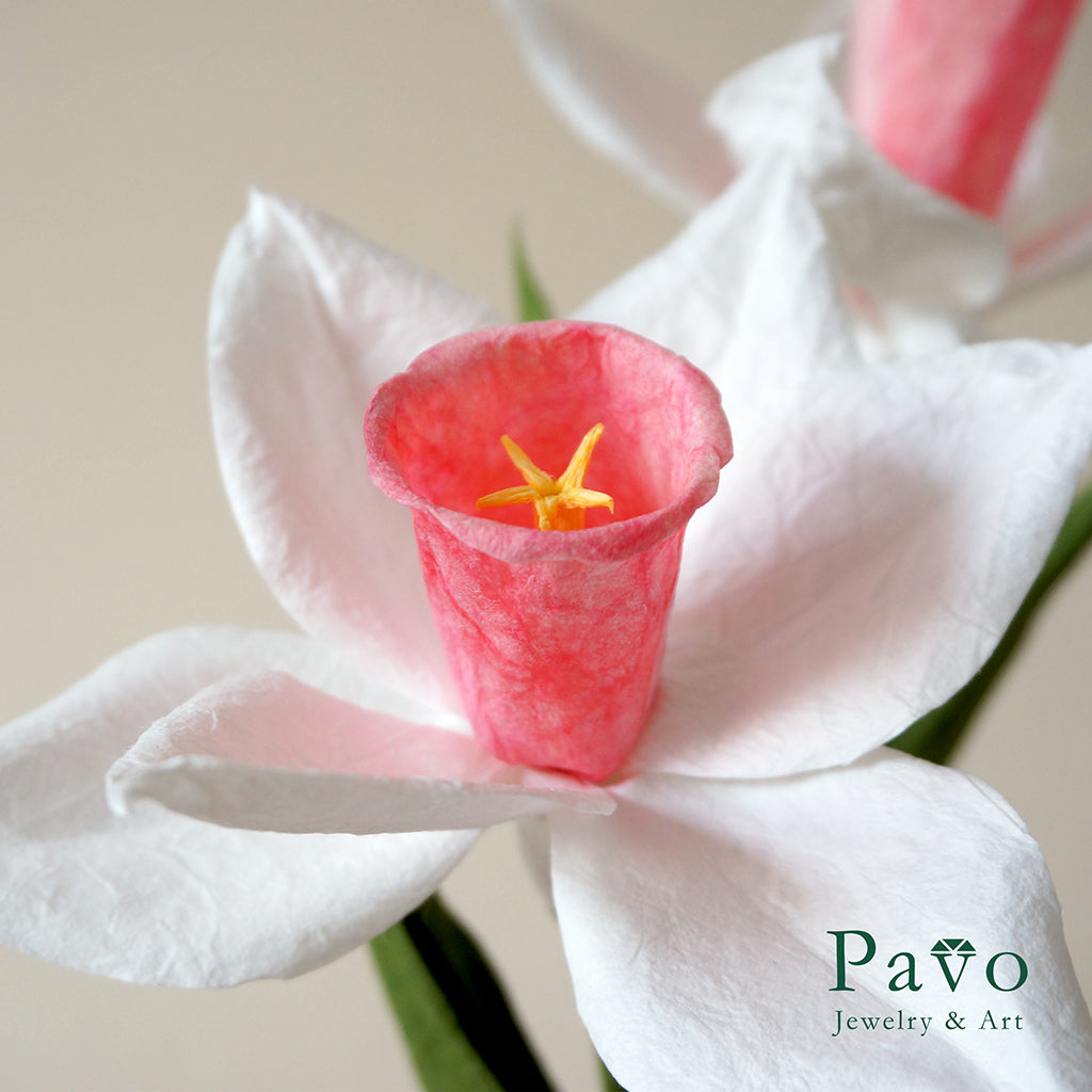 香氛·紙花《水仙花Narcissus》藝術體驗